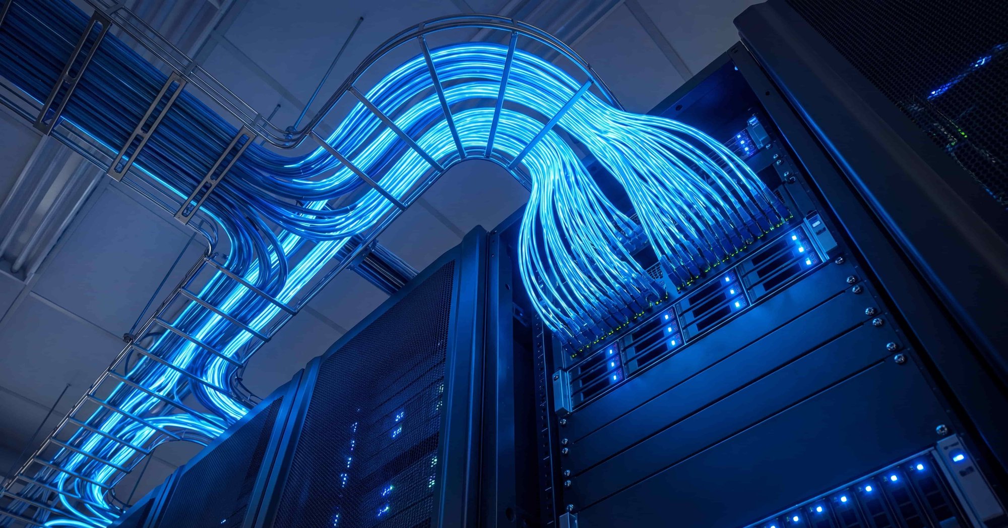 glowing blue network cables
